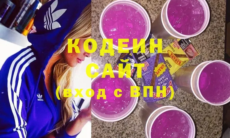 Кодеиновый сироп Lean Purple Drank  где купить наркотик  Жуковский 