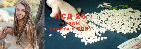 PSILOCYBIN Навашино