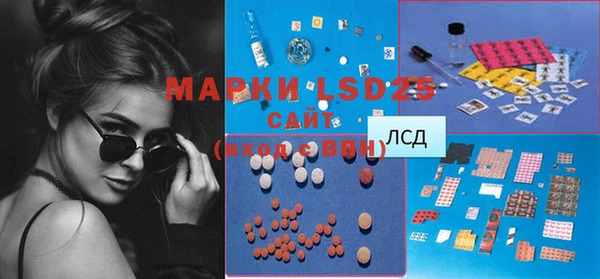 PSILOCYBIN Навашино