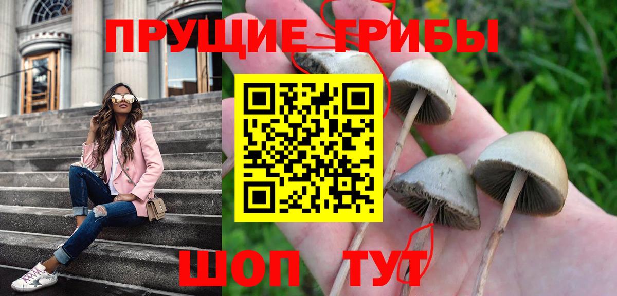 Галлюциногенные грибы GOLDEN TEACHER Жуковский