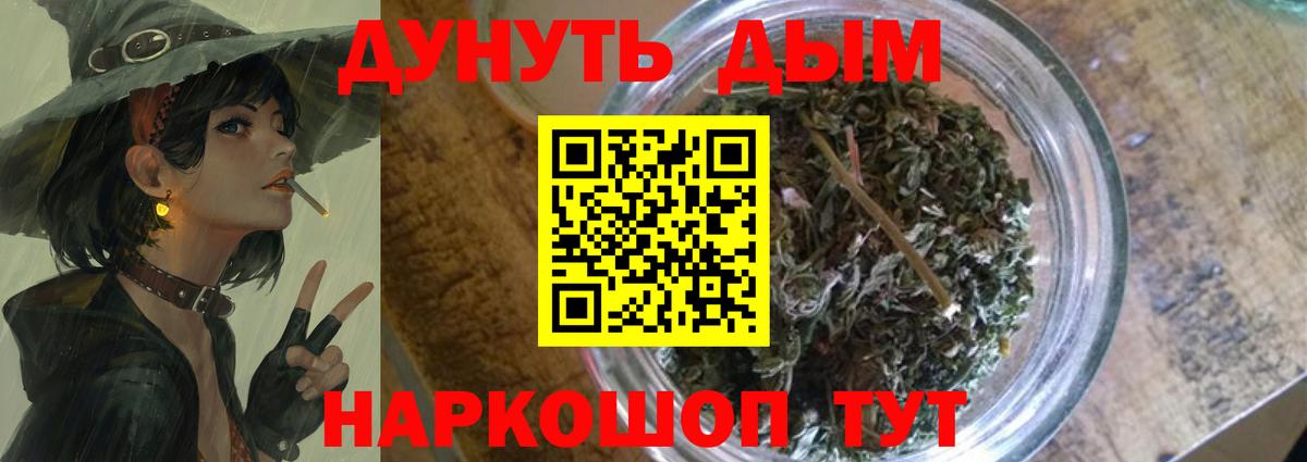 Канабис планчик Жуковский